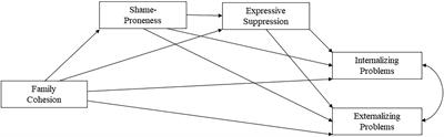 Family cohesion, shame-proneness, expressive suppression, and adolescent mental health—A path model approach